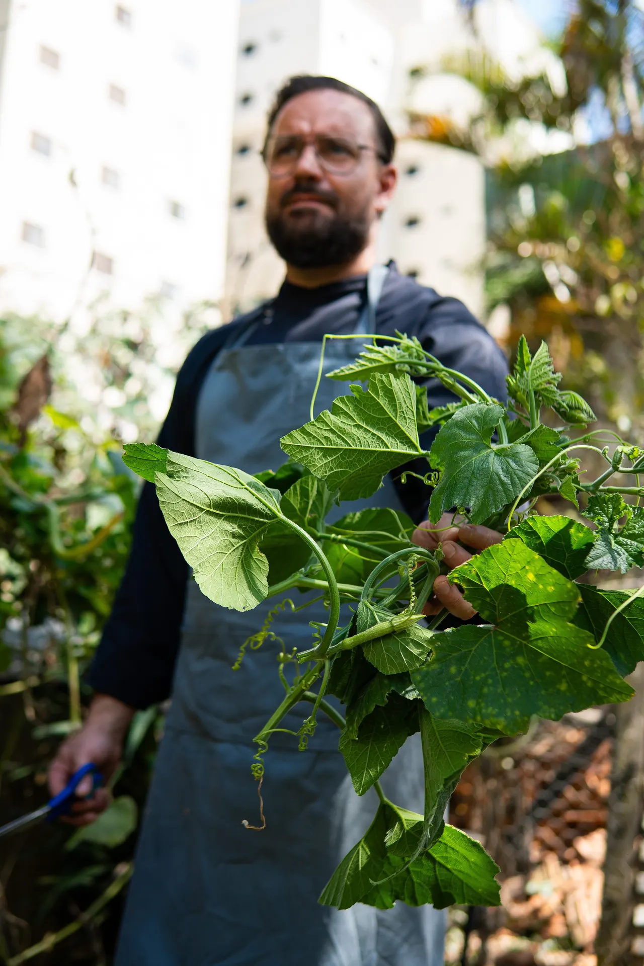 Chef Henrique com folhas frescas da horta