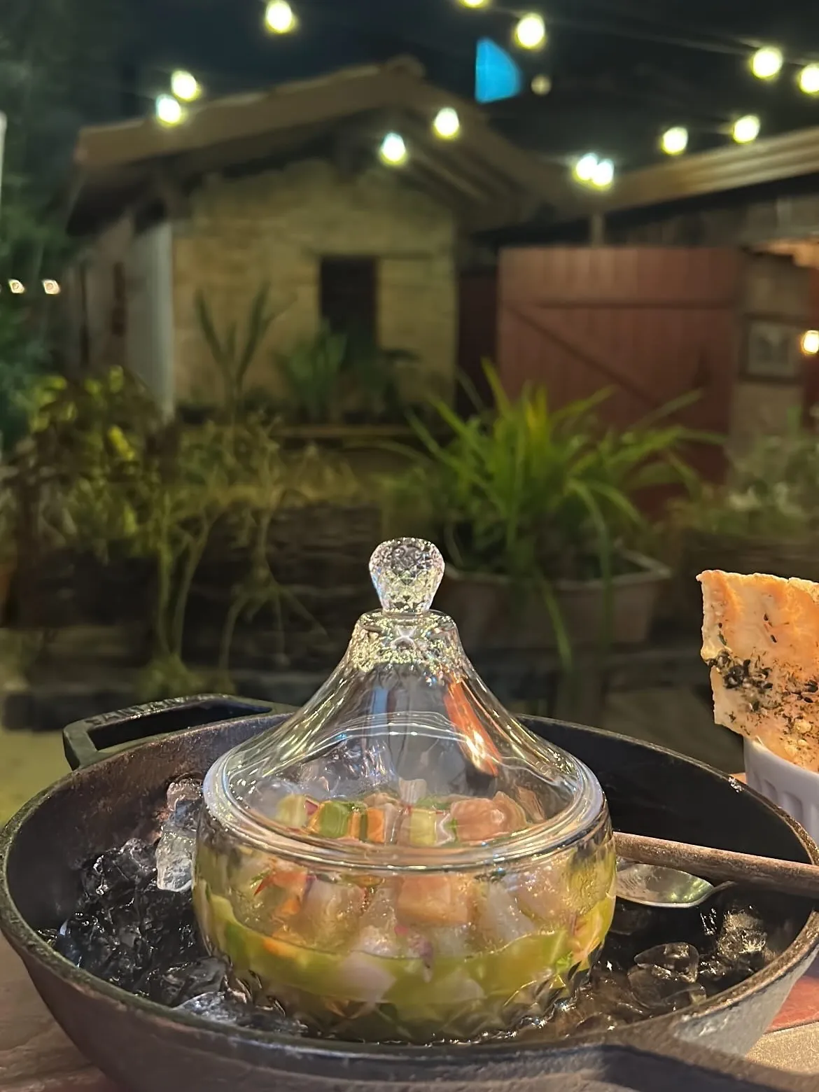 O jardim à noite
