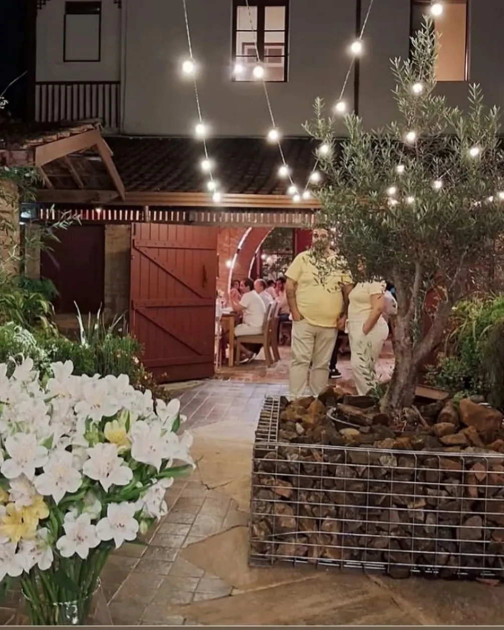 A oliveira e o jardim iluminados por varais de luz